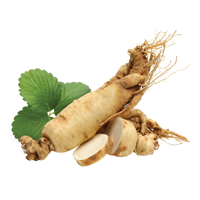 Ginseng